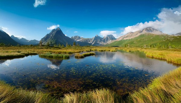 Wie kann man die Umweltbelastung durch Ferienvermietungen minimieren?